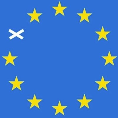Profile Picture of Dr Laura Lowe Forrest (@llforrest) on Twitter
