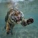 Profile Picture of jaime benitez (@jaimebenitez52) on Pinterest
