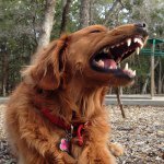 Profile Picture of Jason Herring (@jason_brian) on Instagram