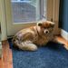 Profile Picture of joyce enright (@jbenright) on Pinterest