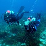 Profile Picture of Caleb Ennis (@caleb_ennis10) on Instagram