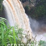 Profile Picture of Casey kaohelaulii (@kealoha17) on Instagram