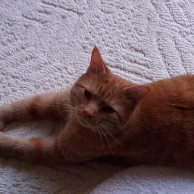 Profile Picture of Brian Hagler (@bshagler) on Twitter