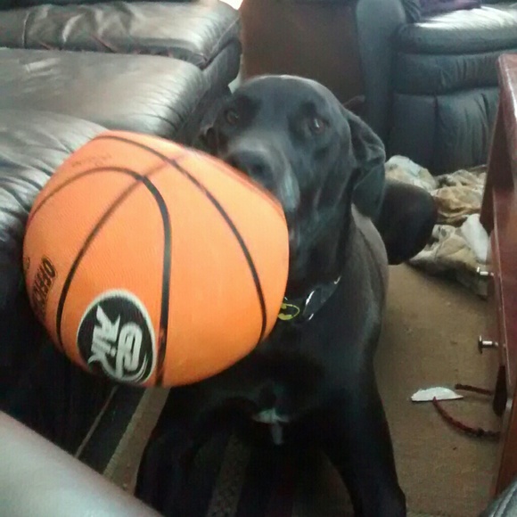 Beth Ashburner - Poshmark Profile Picture of Beth Ashburner (@bethlynn92) on Poshmark