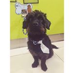 Profile Picture of Theodore Daniels (@sayhellotomylittleted) on Instagram