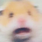 Profile Picture of Luke B (@luke.bungee) on Instagram