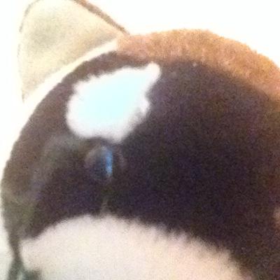 Profile Picture of Lester La Scott (@LesterLaScott) on Twitter