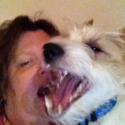 Profile Picture of Sue Staples (@kisssue) on Twitter