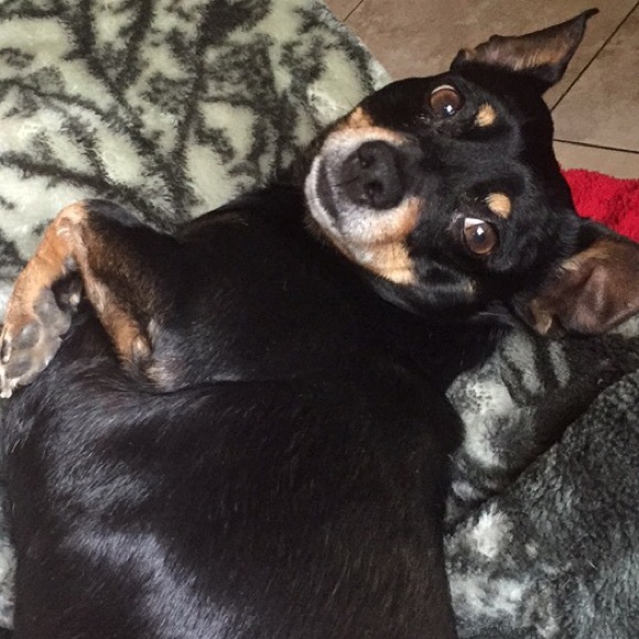 Profile Picture of Alex Velasco (@ughhlex) on Poshmark