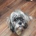 Profile Picture of Paula Kavanagh (@paula.kavanagh.9210) on Facebook