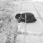 pauliina koskinen - Instagram Profile Picture of pauliina koskinen (@koskinenpauliina) on Instagram