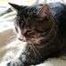 Profile Picture of Doris Cremer (@doris.cremer.507) on Facebook