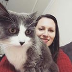 Profile Picture of Kelly Gabelhere (@kellygabelhere) on Instagram