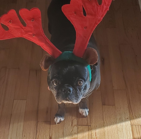 Profile Picture of Brian Harrington (@b_w_harrington) on Poshmark