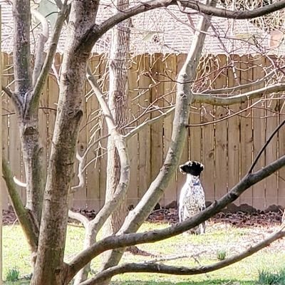 Profile Picture of Stephen Hertz (@chefhertz) on Twitter