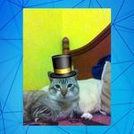 Profile Picture of Joshua  Lavigne (@joshua_rh0) on Instagram