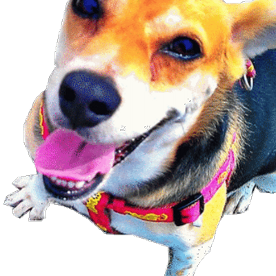 Profile Picture of Evan Chung (@chung_evan) on Twitter