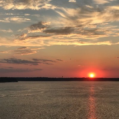 Profile Picture of Carly Byrd (@CarlyBy32336020) on Twitter