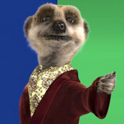 Profile Picture of Steve Mackey (@mackey_steve) on Twitter