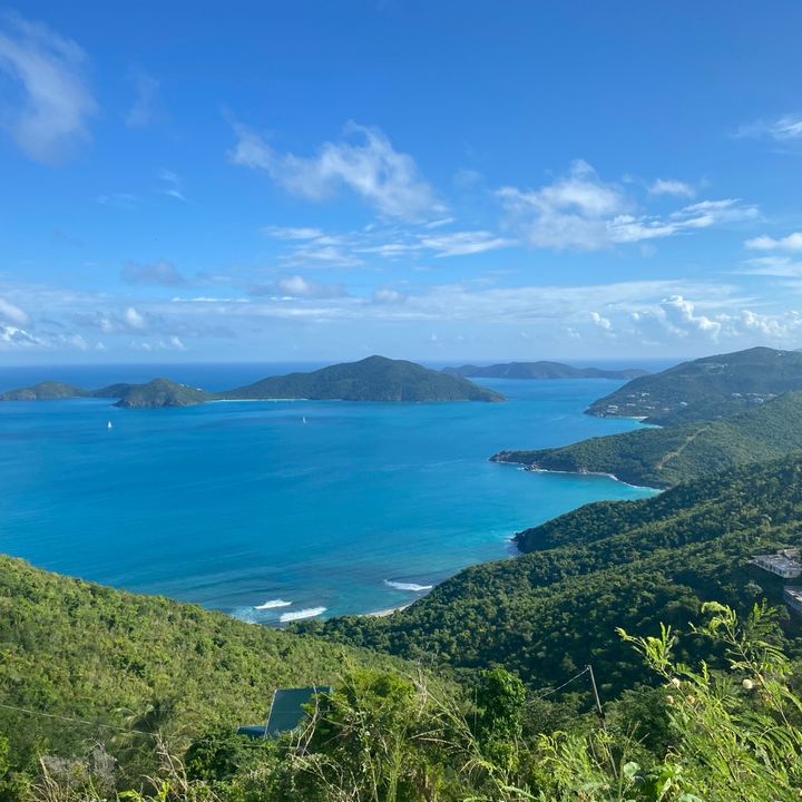 Profile Picture of Adam (@adam_pursell) on Tiktok