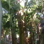 Profile Picture of John Tamil (@John-Tamil) on Facebook