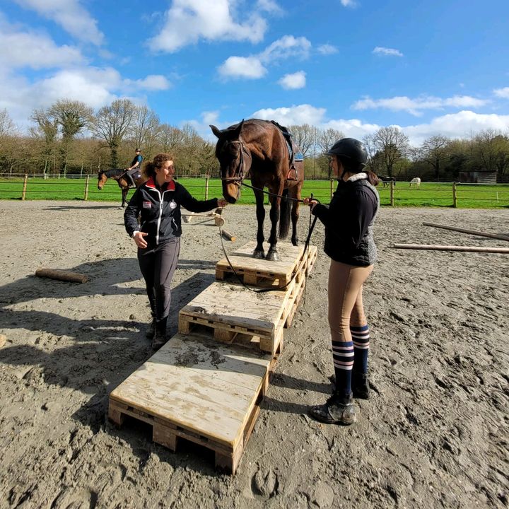 Profile Picture of Isabelle Aucun (@isabellechopo) on Tiktok