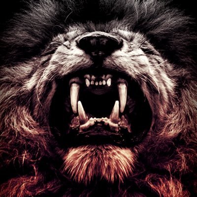 Profile Picture of Joseph Lutz (@epic_kid_42) on Twitter