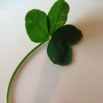 Profile Picture of Laura Hoyt (@cwhoyt41) on Twitter