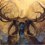 Profile Picture of Alex Mclachlan (@whitey1303) on Instagram