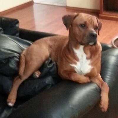 Profile Picture of Lance Riedl (@LanceR8dl) on Twitter