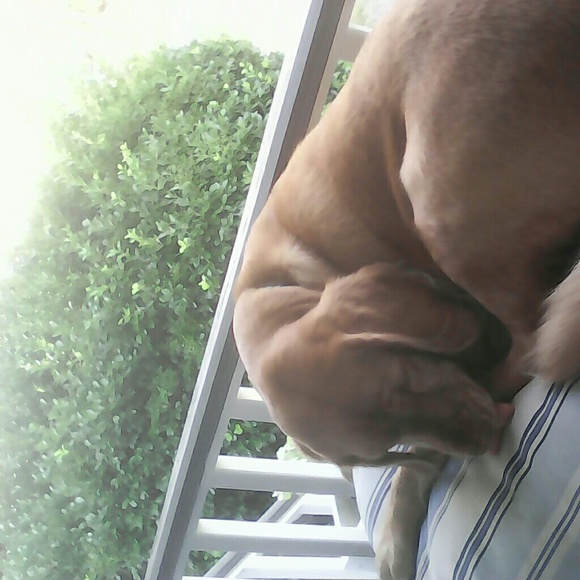 Profile Picture of Janet Westenhiser (@jlwest25) on Poshmark