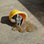 Profile Picture of Jesse Wine (@jesse wine) on Flickr