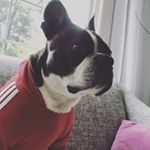 Profile Picture of Jerry (@jerry.bostonn) on Instagram