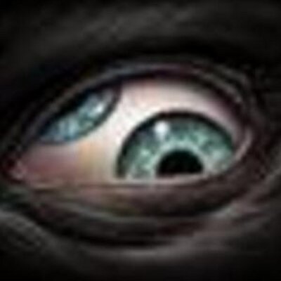 Profile Picture of Dan Eastridge (@daneastridge) on Twitter