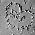 Profile Picture of iris_debbie (@iris_debbie) on Instagram