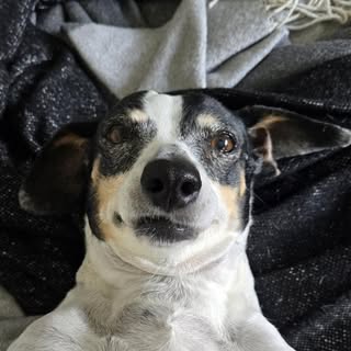 Profile Picture of David Conces (@davidconces) on Instagram