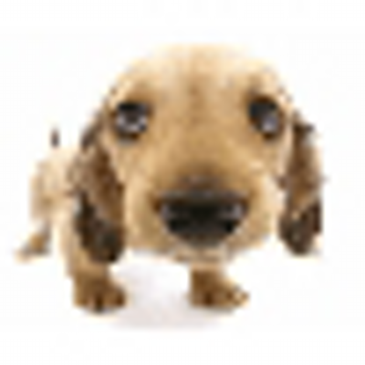 Profile Picture of Carolyn Dowdy (@dowdy_carolyn) on Twitter