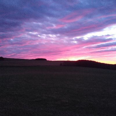 Profile Picture of Old Person (@AmandaD16407844) on Twitter