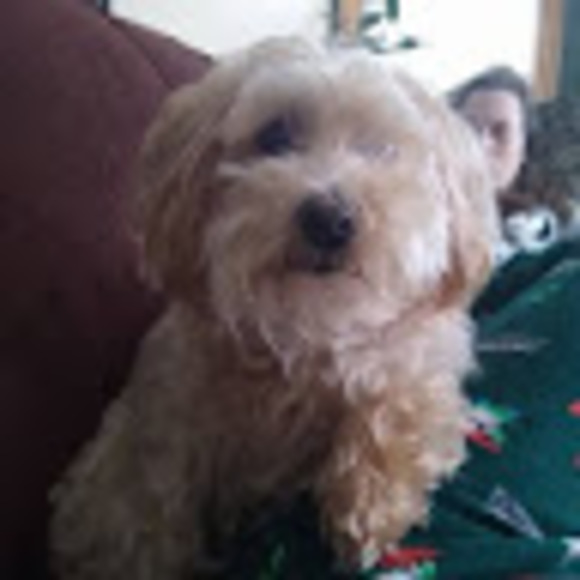 Profile Picture of Haakon Egerdahl (@haakonegerdahl) on Poshmark