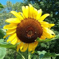 Profile Picture of Chris Tener (@chris-tener-1) on Quora