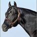 Profile Picture of Guy Weimer (@Guy-Weimer) on Facebook