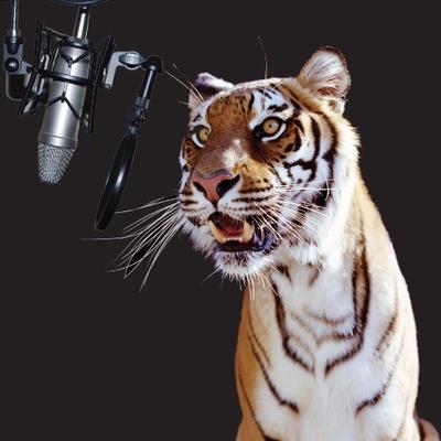 Profile Picture of SHANE MORRIS (@Voiceoverboard) on Twitter