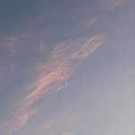 Profile Picture of Anthony Carlton (@ant_tofly__) on Instagram
