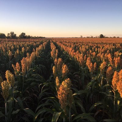 Profile Picture of Glenn Garside (@garside_glenn) on Twitter