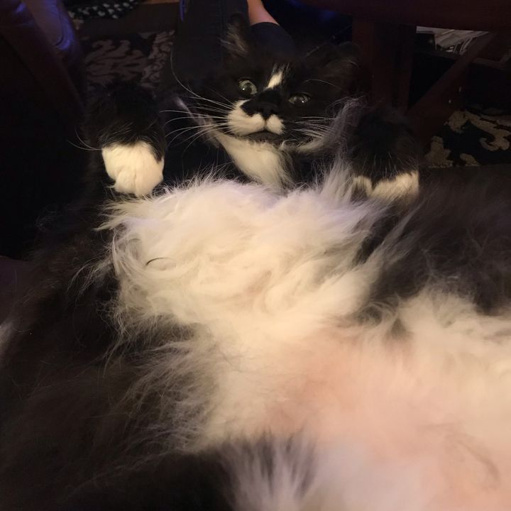 Profile Picture of Diane Brownlee (@@dianebrownlee) on Tiktok