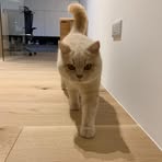 Profile Picture of Sean Fan (@sean.fan.1800) on Facebook