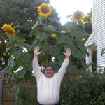 Profile Picture of Joe Conklin (@joe.conklin.775) on Instagram