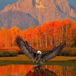 Mike Michaels - Instagram Profile Picture of Mike Michaels (@tai_chi_chuang) on Instagram