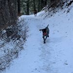 Profile Picture of David Lueck (@gallatincounty_realtor) on Instagram