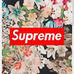 Matthew - Instagram Profile Picture of Matthew (@matthew.rajotte1) on Instagram